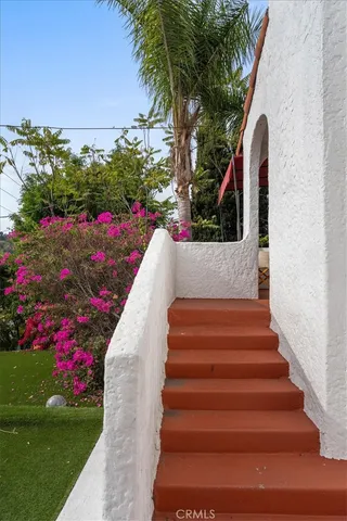 a view of a garden with flowers and flowers