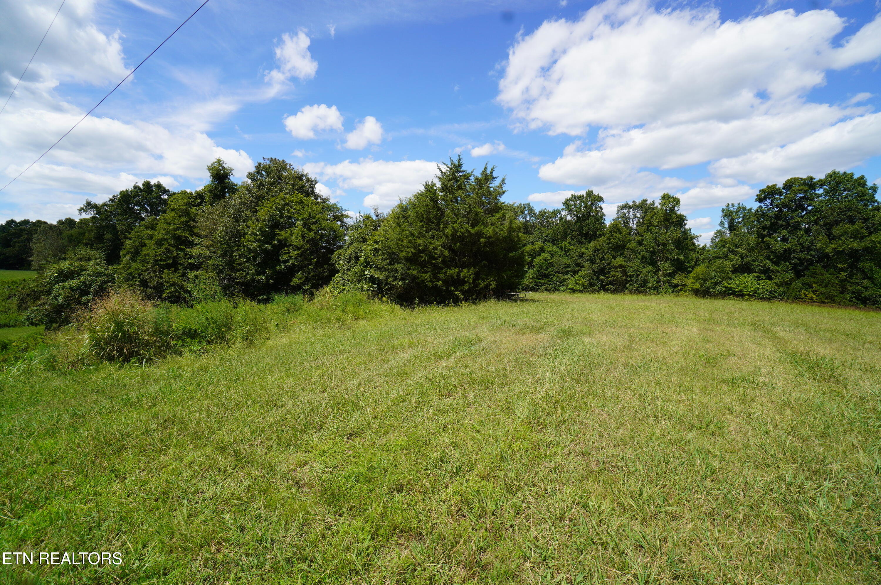 Whittle Road New Market, TN 37820 - Photo 11 of 23 whittle rd - peters (12)