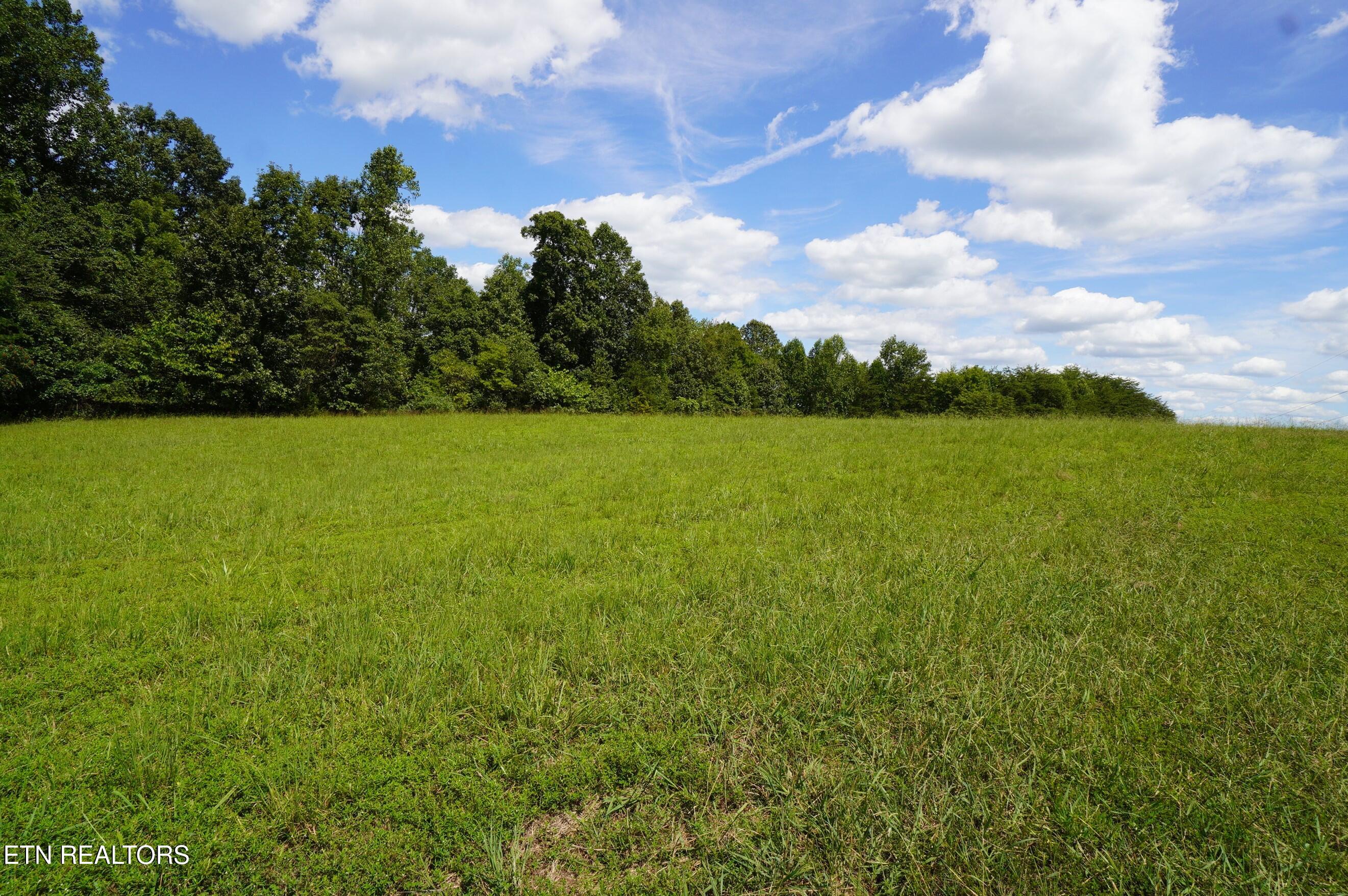 Whittle Road New Market, TN 37820 - Photo 15 of 23 whittle rd - peters (16)