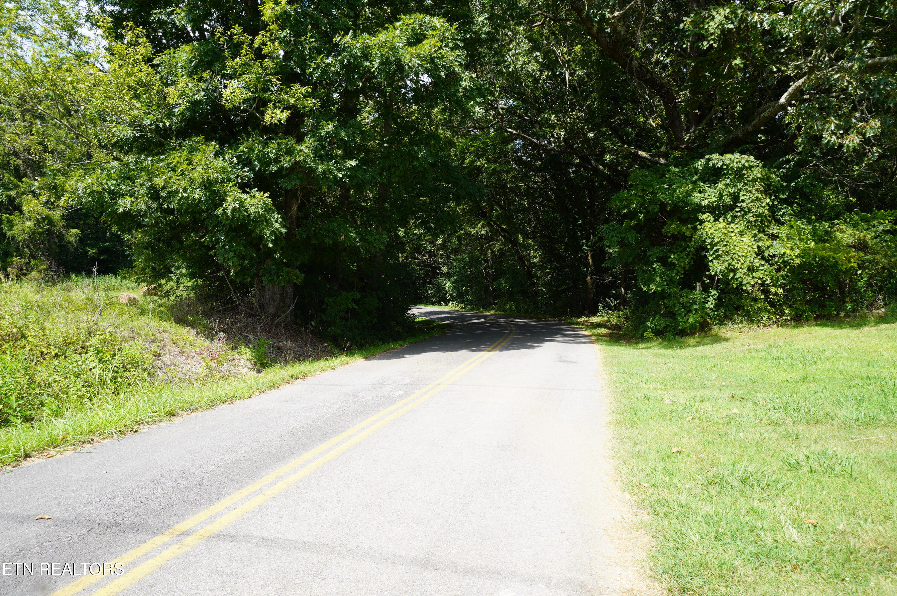 Whittle Road New Market, TN 37820 - Photo 23 of 23 whittle rd - peters (1)