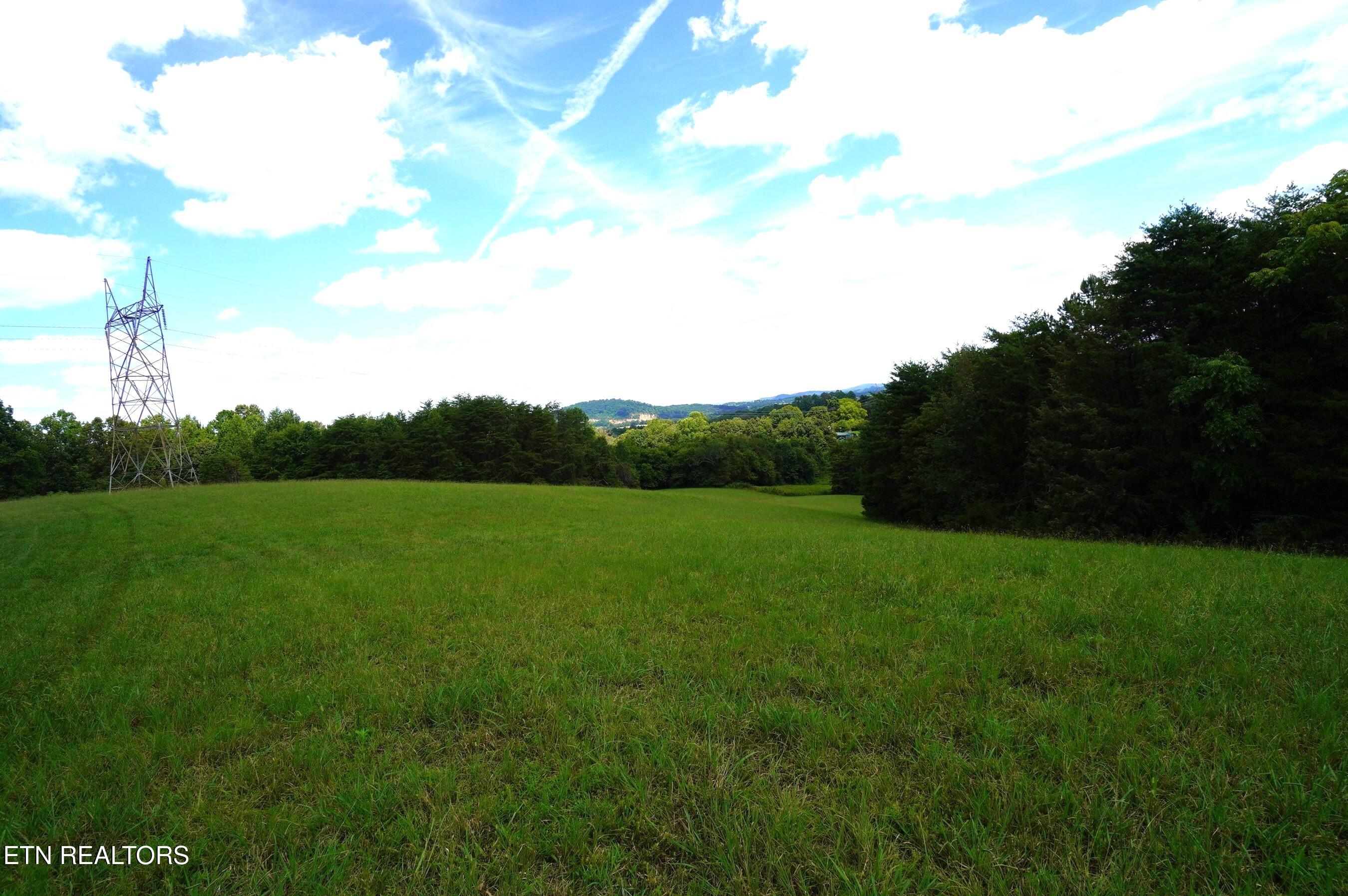 Whittle Road New Market, TN 37820 - Photo 5 of 23 whittle rd - peters (6)