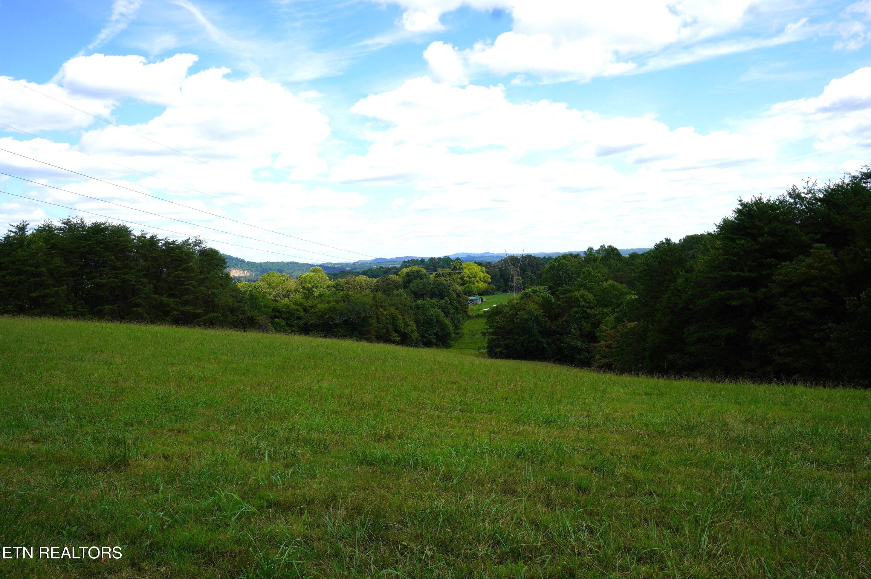 Whittle Road New Market, TN 37820 - Photo 6 of 23 whittle rd - peters (7)