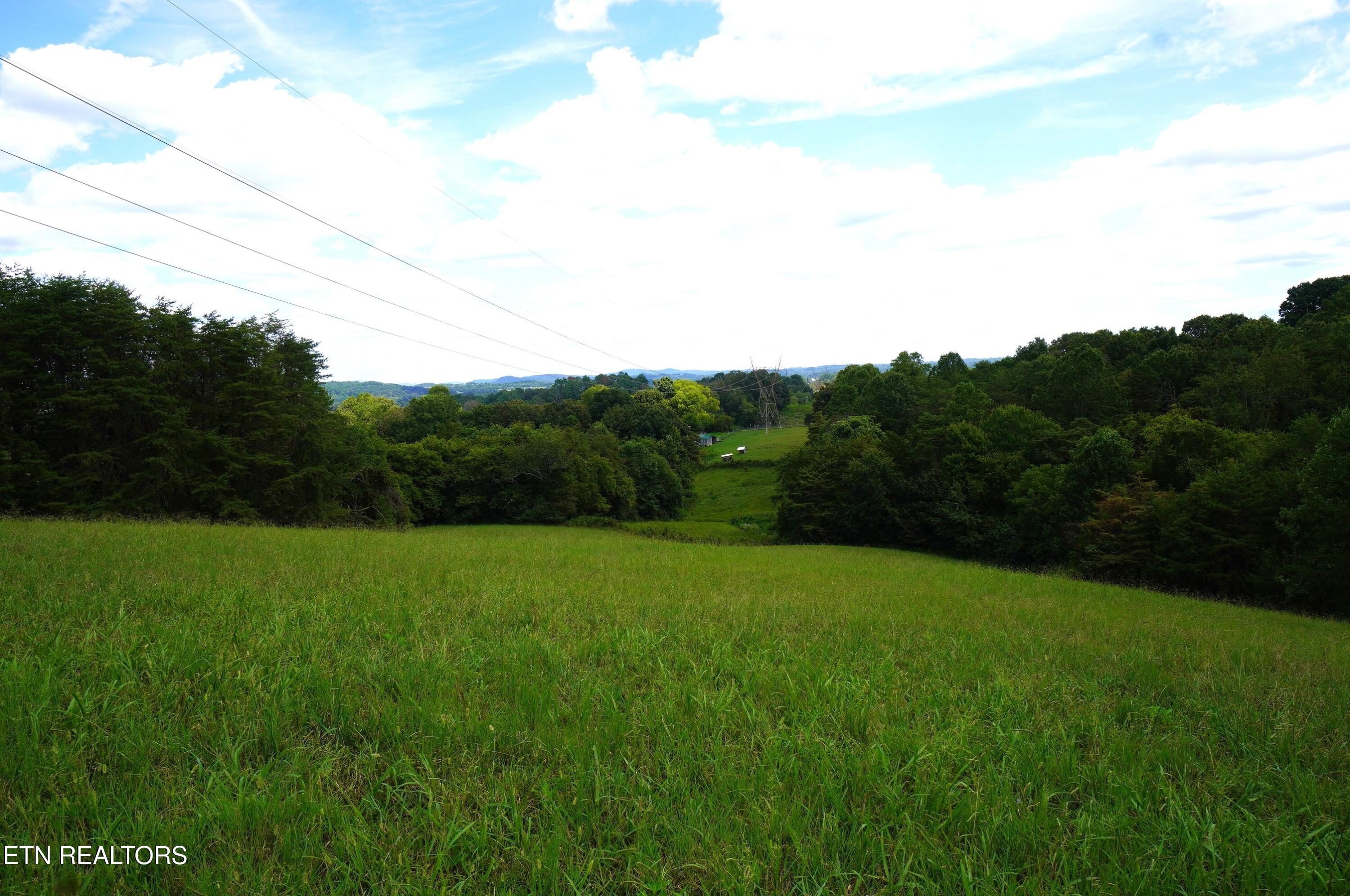Whittle Road New Market, TN 37820 - Photo 7 of 23 whittle rd - peters (8)