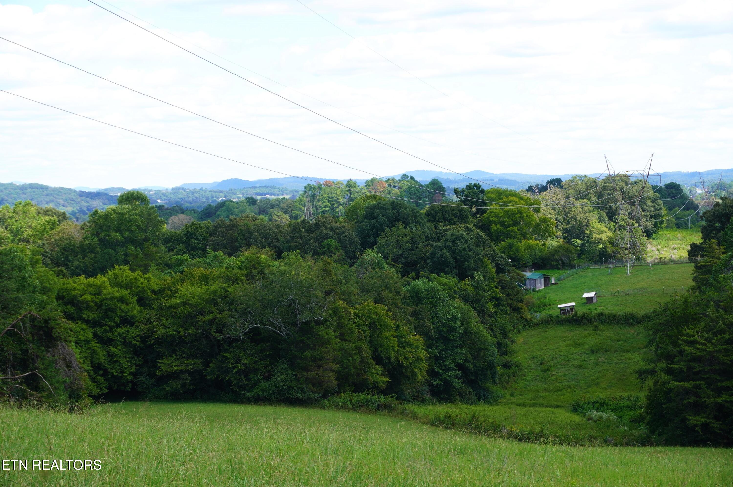 Whittle Road New Market, TN 37820 - Photo 8 of 23 whittle rd - peters (9)