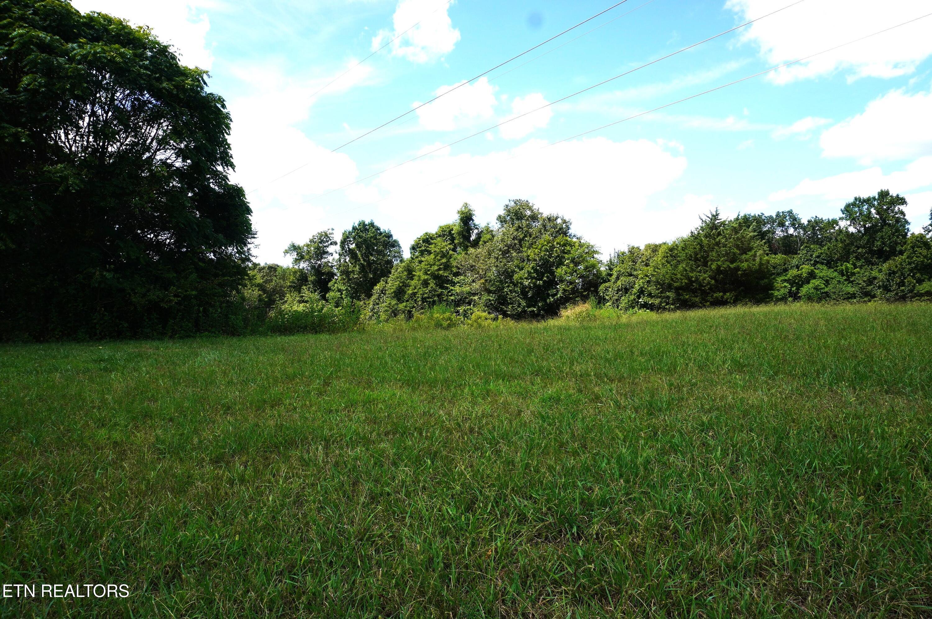 Whittle Road New Market, TN 37820 - Photo 9 of 23 whittle rd - peters (10)