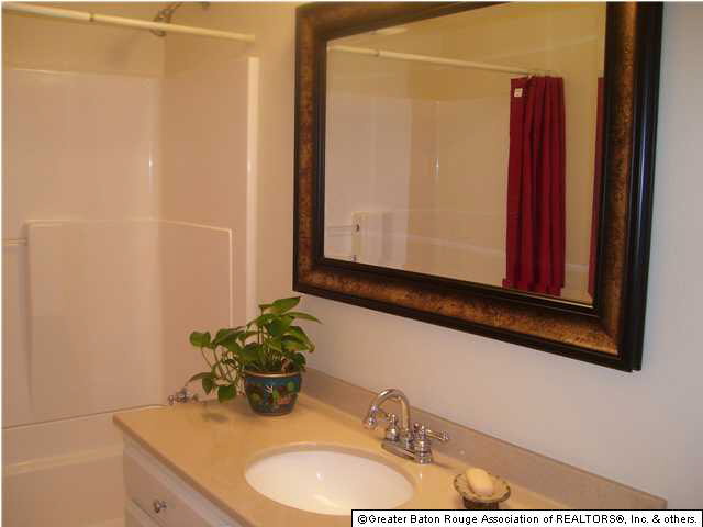 15912 Chaney Road Zachary, LA 70791 - Photo 10 of 18 Gallery Image 10