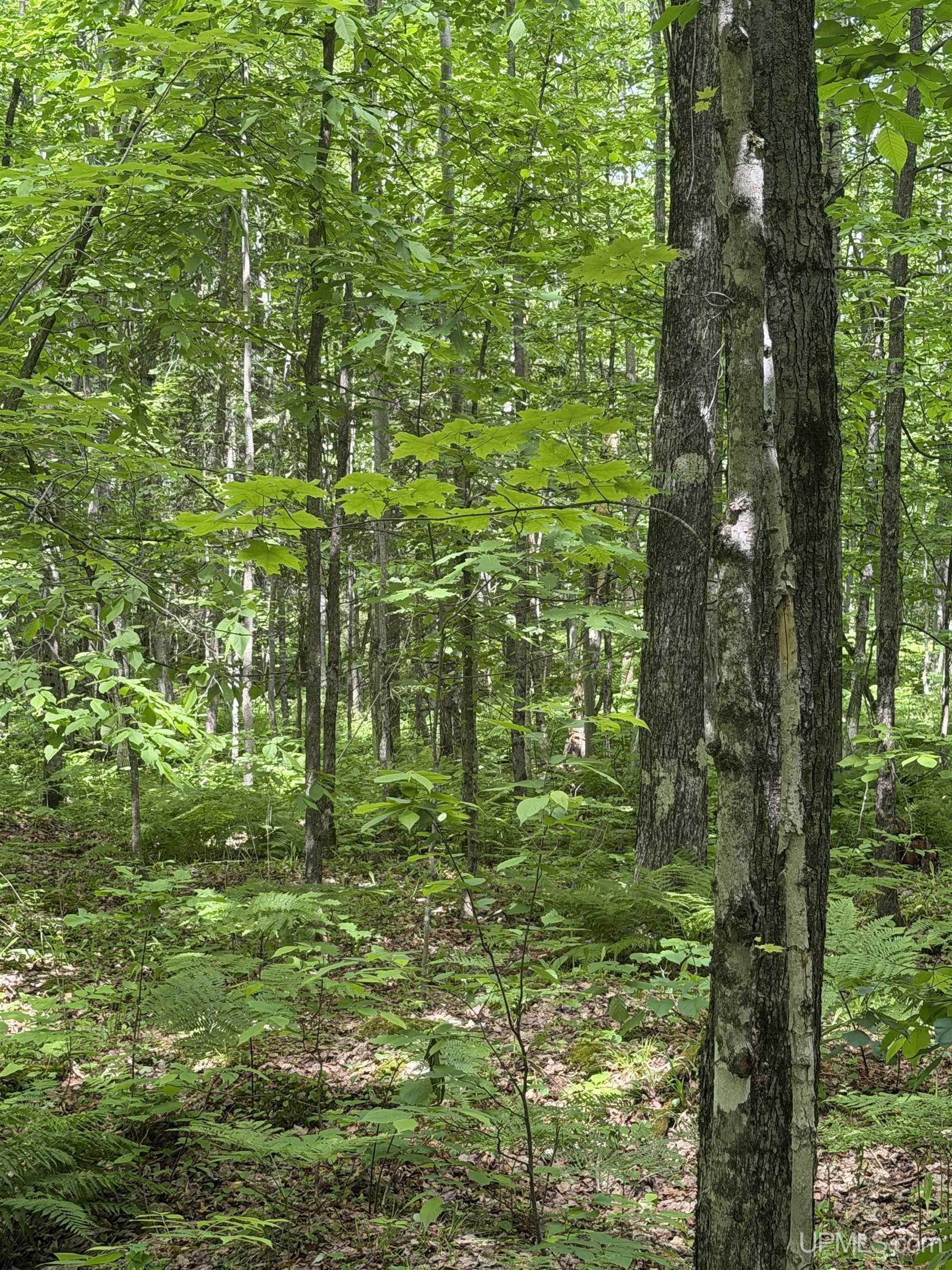 Tbd20 Skanee Road Skanee, MI 49962 - Photo 24 of 26
