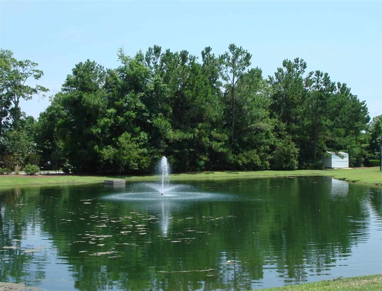 4284 Santolina Way, Unit B Murrells Inlet, SC 29576 - Photo 14 of 16 Gallery Image 14