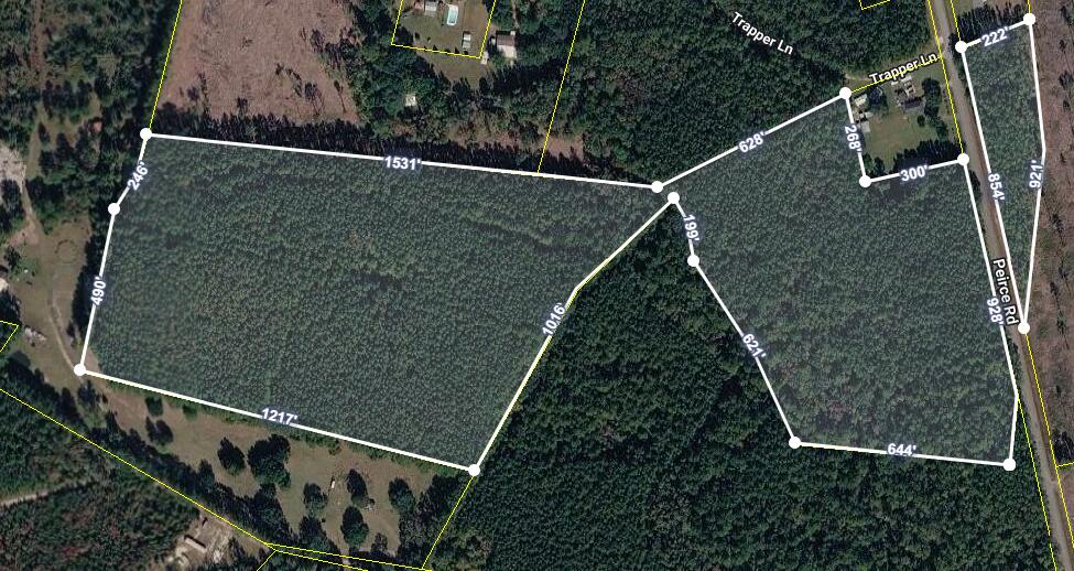 0 Peirce Road Ridgeville, SC 29472 - Photo 14 of 16 Screenshot 2026-08-10 141901
