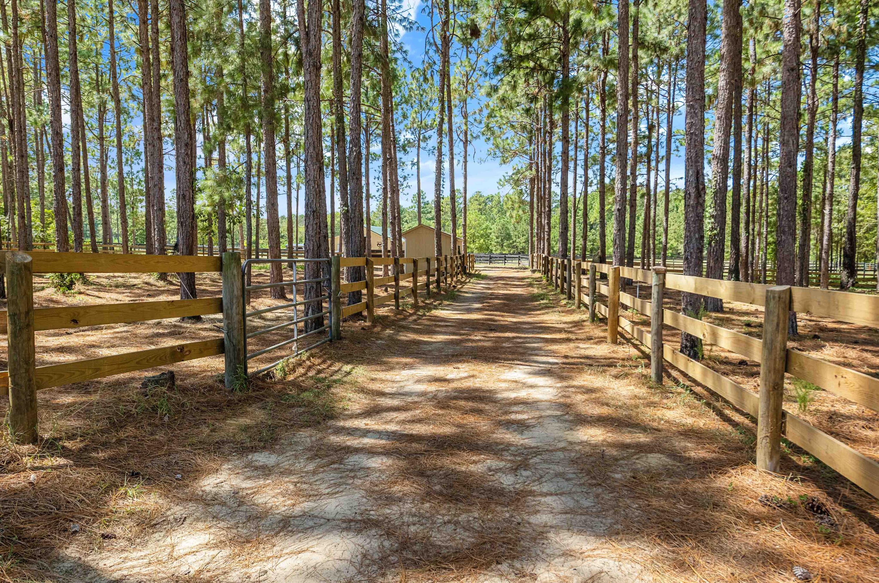 1084 Farnum Road Orangeburg, SC 29118 - Photo 84 of 113 1084 Farnum Rd-86