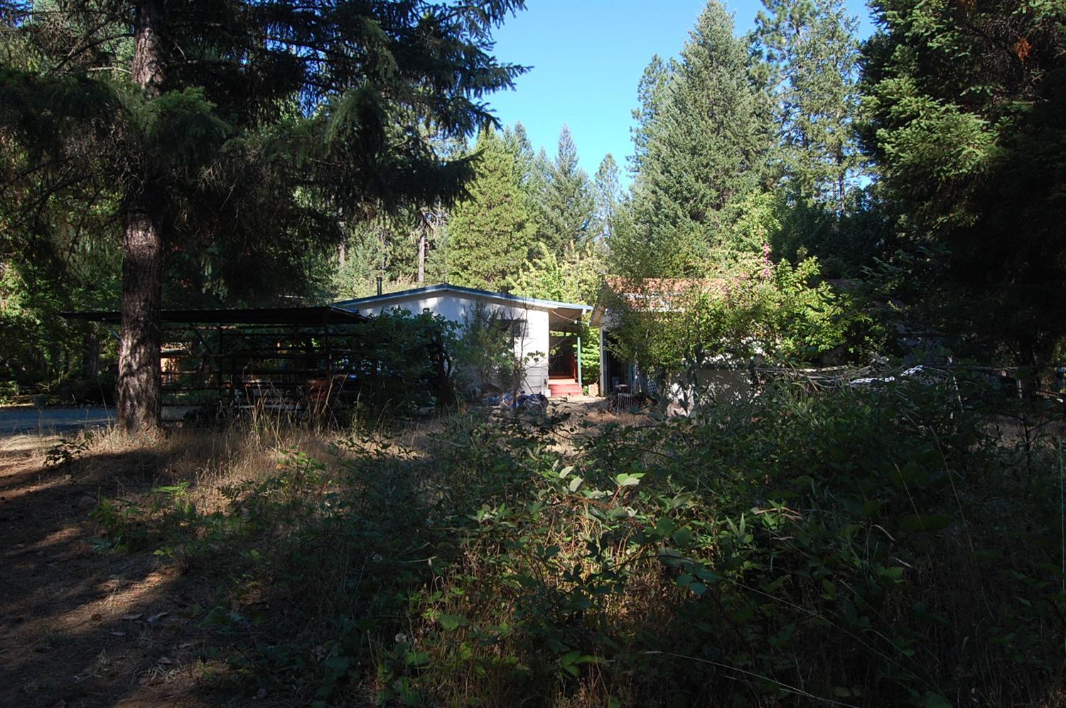 904 Queens Branch Road Rogue River, OR 97537 - Photo 10 of 21 Gallery Image 10