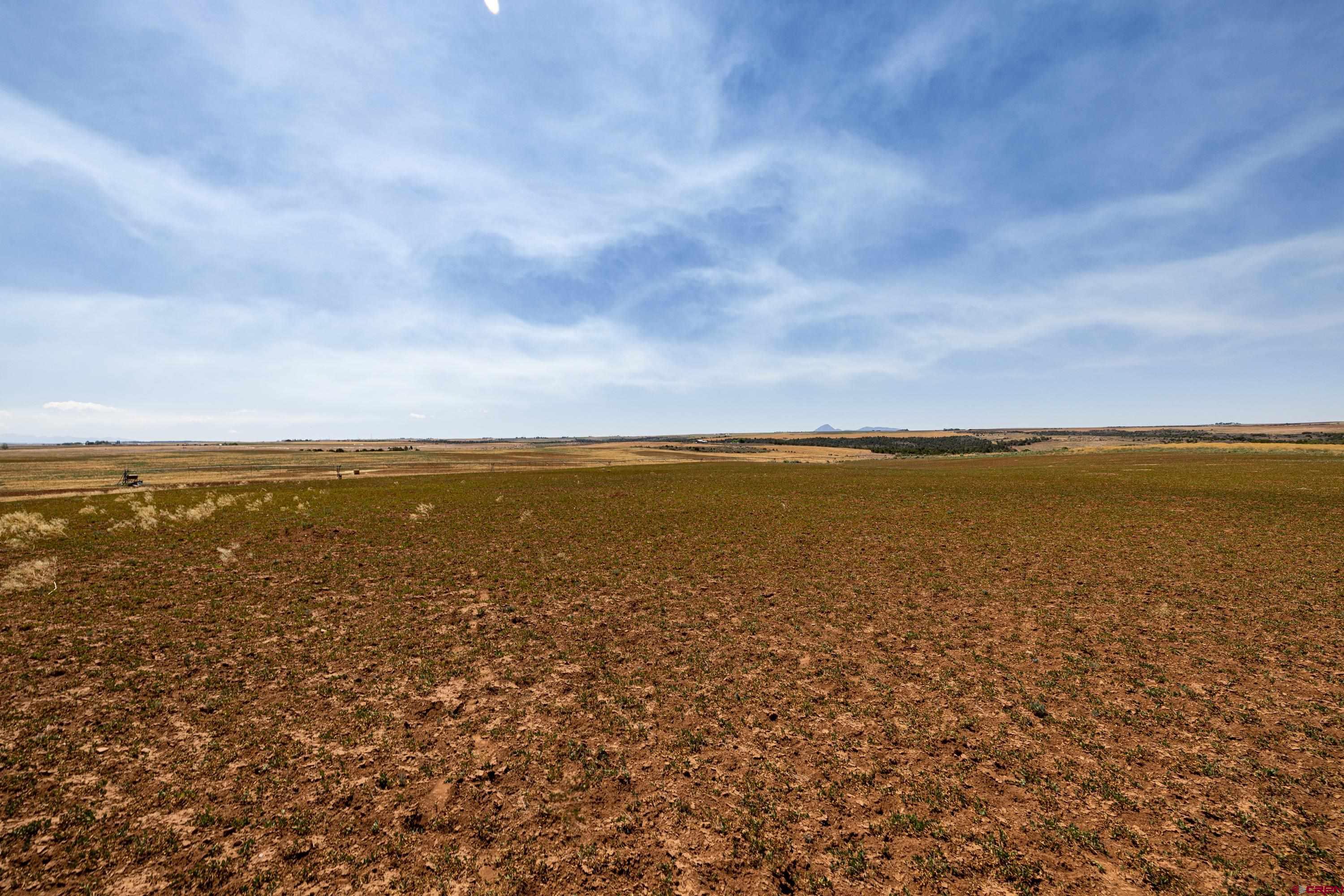 Tbd Tbd Road Pleasant View, CO 81331 - Photo 8 of 17