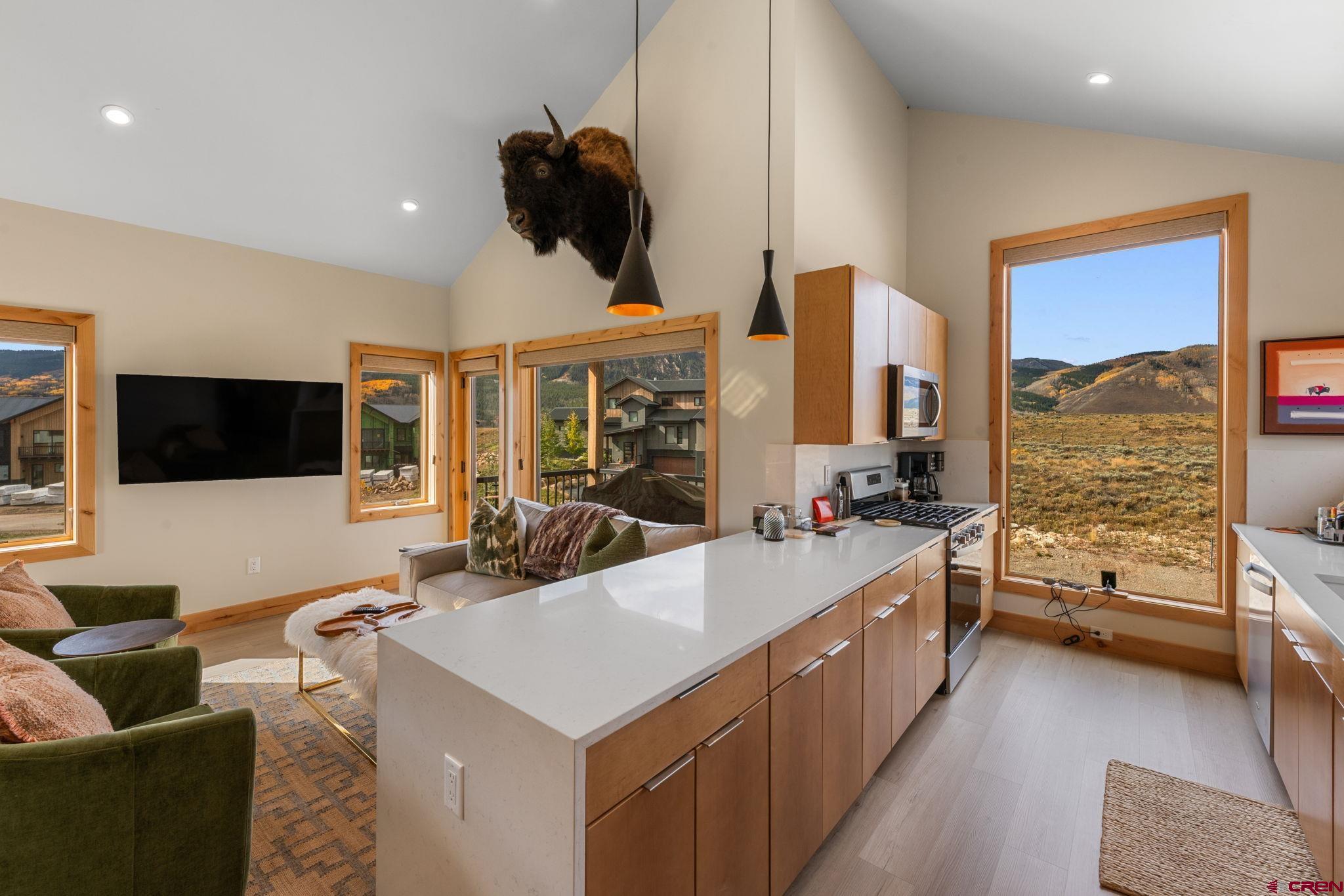 101 Elk Valley Road, Unit D Crested Butte, CO 81224 - Photo 21 of 37 a large living room with stainless steel appliances kitchen island furniture a flat screen tv and a large window