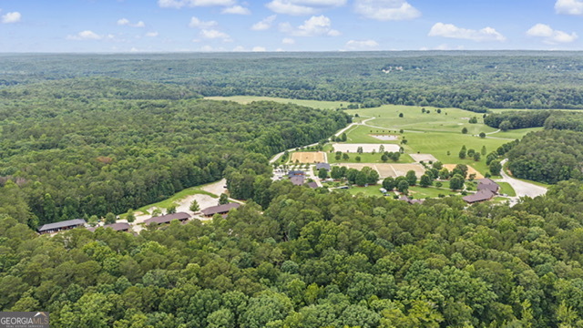 0 Cedar Grove Road Fairburn, GA 30213 - Photo 4 of 5 an aerial view of a house with a yard and lake view