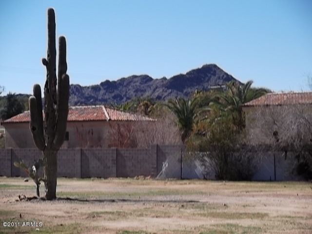 7027 East Sunnyvale Road, Unit 23 Paradise Valley, AZ 85253 - Photo 4 of 5 Mountains and saguaros