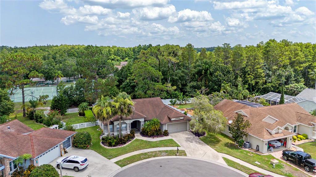 7201 Forestedge Court New Port Richey, FL 34655 - Photo 35 of 37