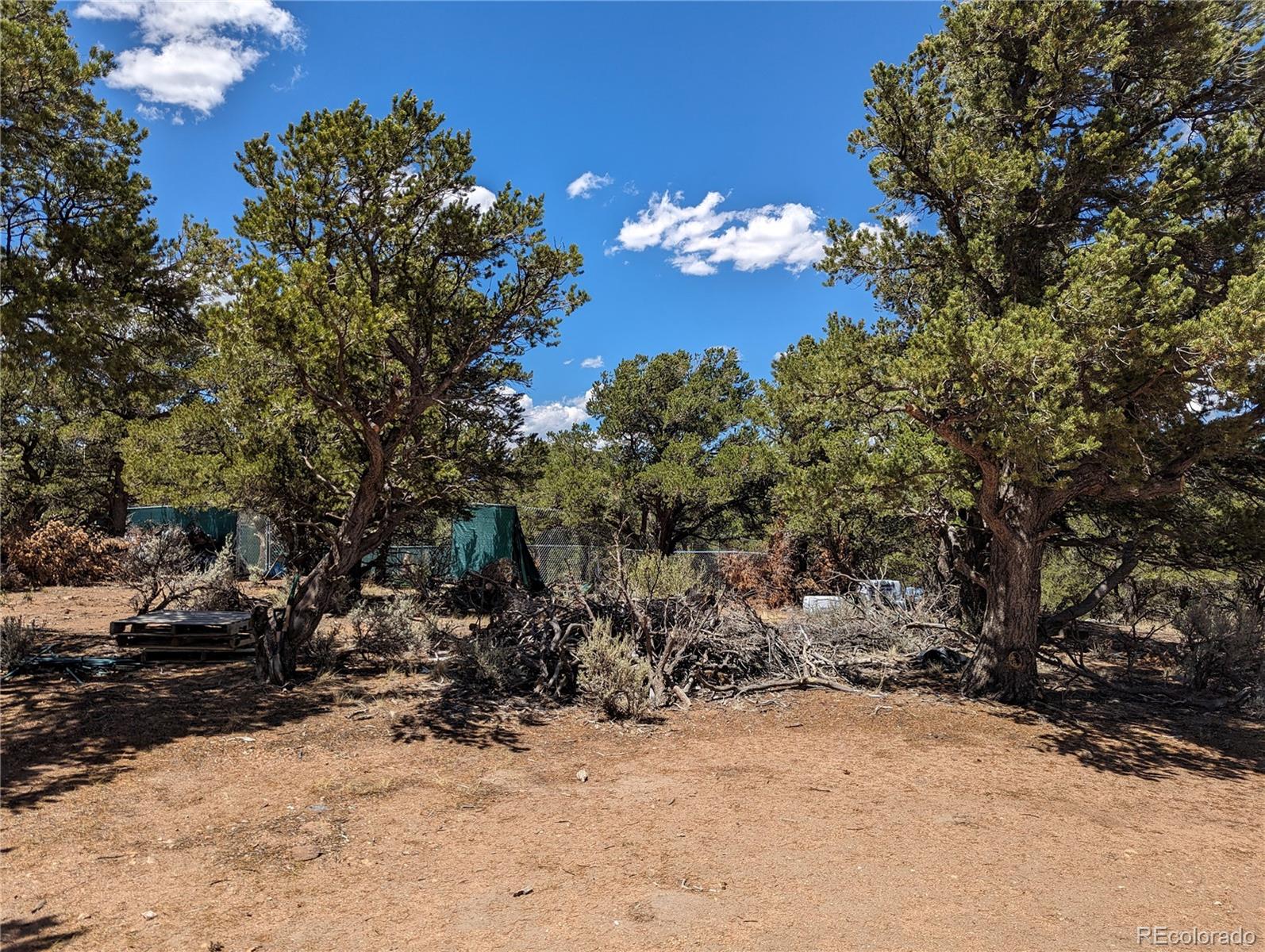 7814 Mallott Road Fort Garland, CO 81133 - Photo 14 of 17 Gallery Image 14