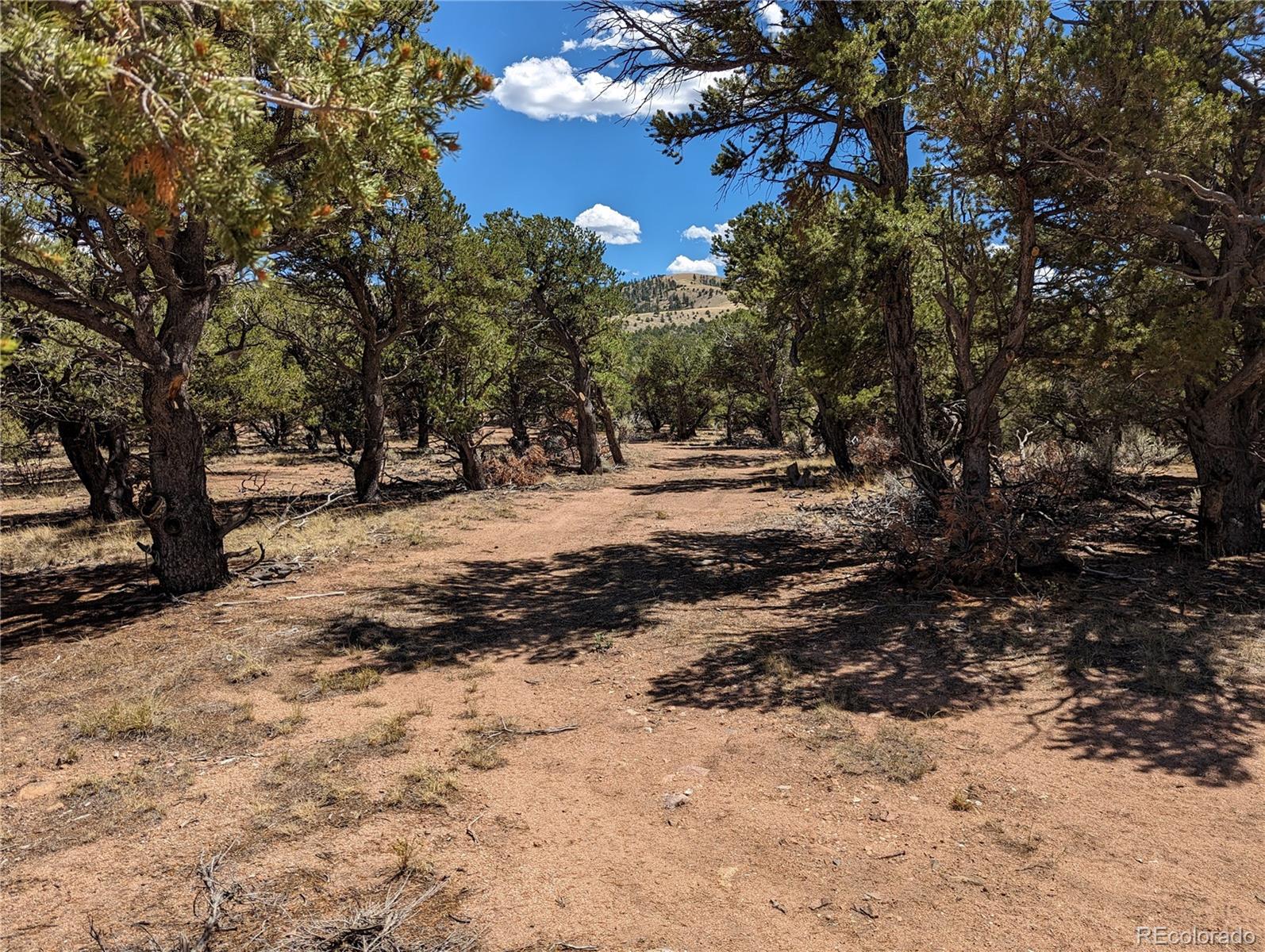 7814 Mallott Road Fort Garland, CO 81133 - Photo 16 of 17 Gallery Image 16