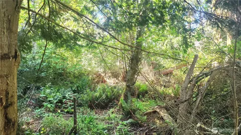 $25,000 | -nhn South Harbor View Drive, Langley, WA 98260