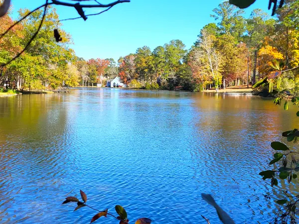 $59,900 | Lot 44 Plantation Drive, Santee, SC 29142