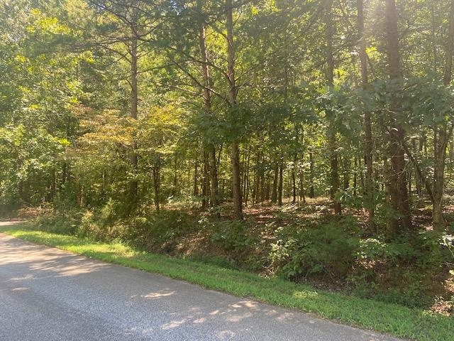 129 Hopes Trail Gaffney, SC 29341 - Photo 3 of 4