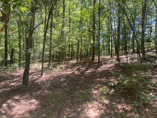 129 Hopes Trail Gaffney, SC 29341 - Photo 4 of 4