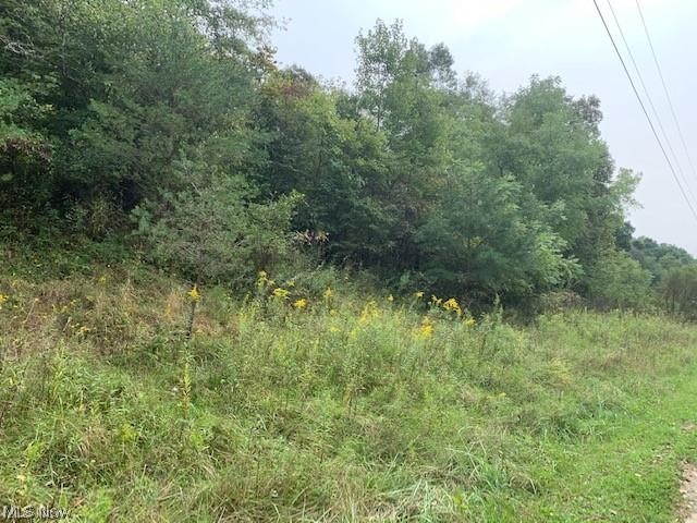 59149 Trail Run Road Byesville, OH 43723 - Photo 2 of 5