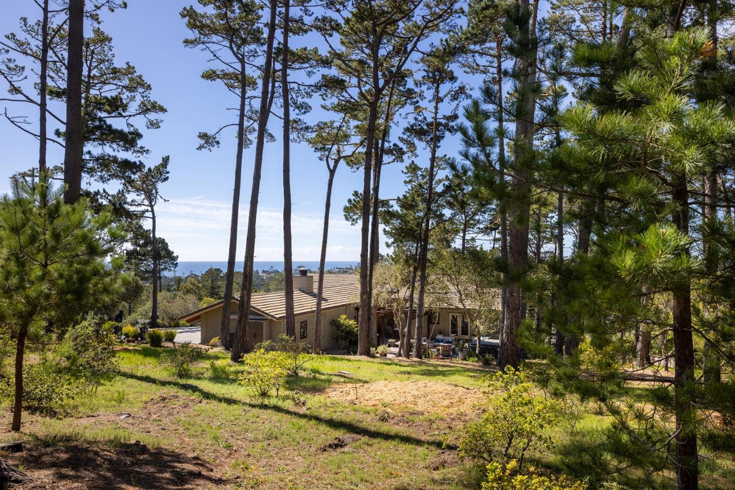 3893 Ronda Road Pebble Beach, CA 93953 - Photo 42 of 48 a view of a yard with palm trees