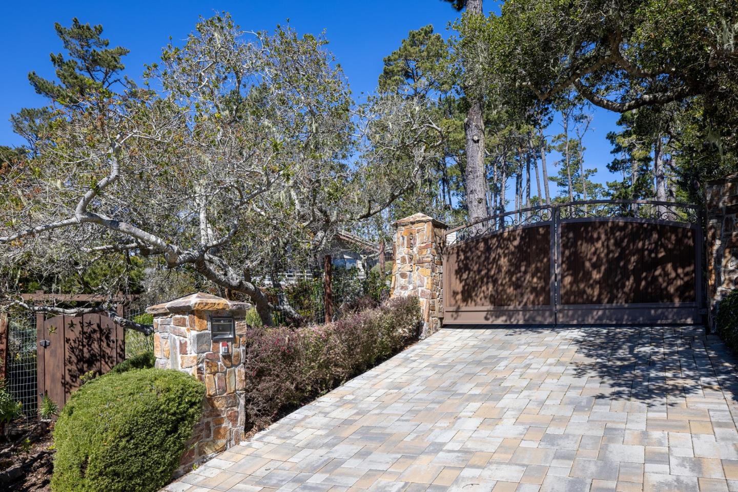 3893 Ronda Road Pebble Beach, CA 93953 - Photo 47 of 48 a view of a yard with plants and trees
