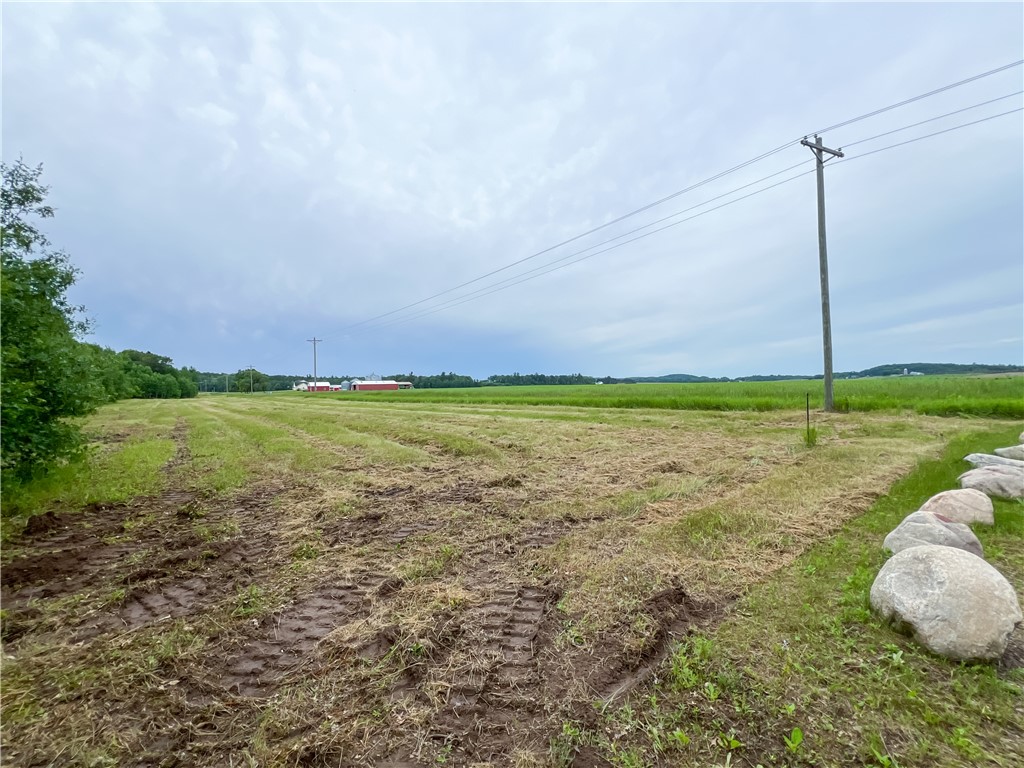 0 130th Street Bloomer, WI 54724 - Photo 6 of 16