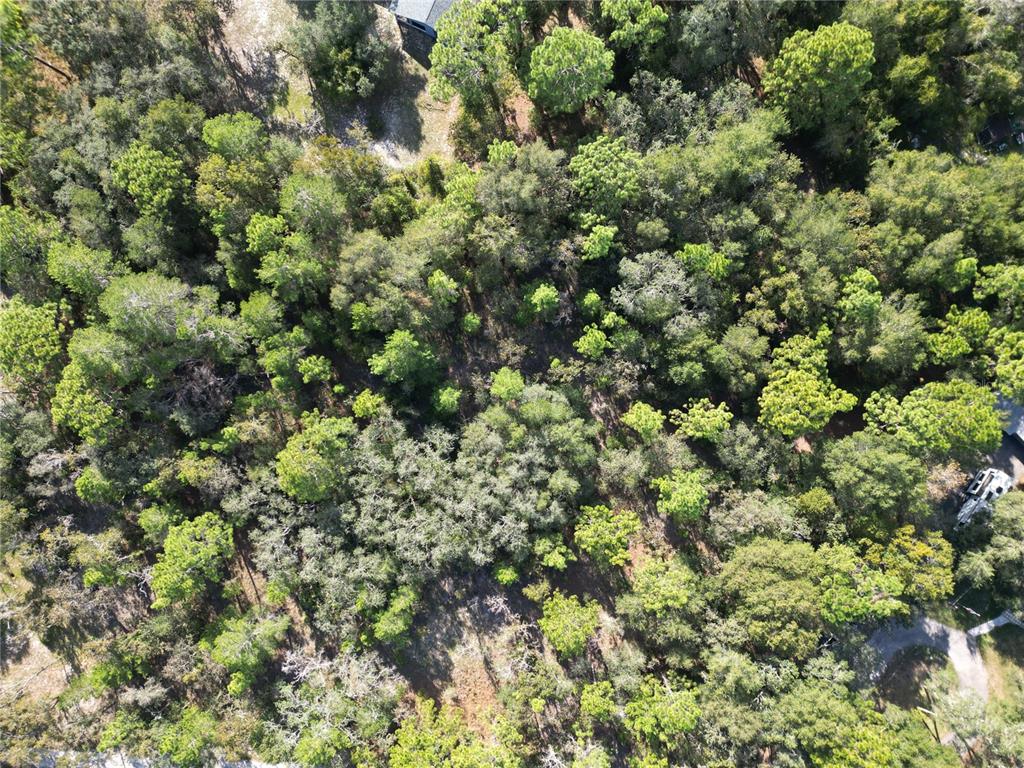 Grove Road Brooksville, FL 34614 - Photo 19 of 21 Gallery Image 19
