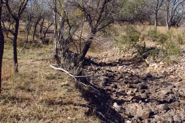 $44,900 | 10-acres East Roadrunner Road, Pearce, AZ 85625
