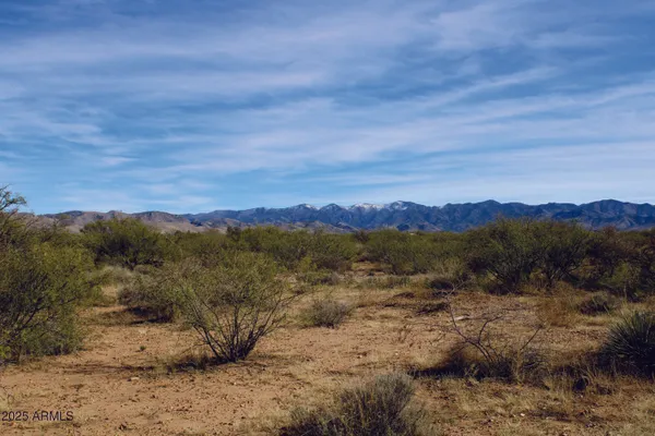 $44,900 | 10-acres East Roadrunner Road, Pearce, AZ 85625