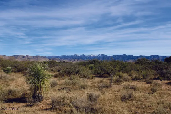 $44,900 | 10-acres East Roadrunner Road, Pearce, AZ 85625