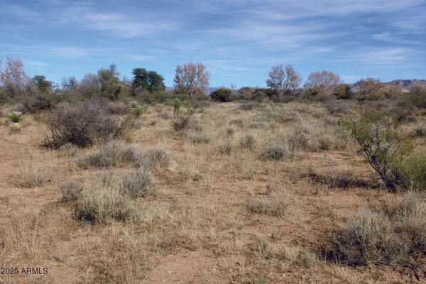 $44,900 | 10-acres East Roadrunner Road, Pearce, AZ 85625