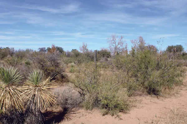 $44,900 | 10-acres East Roadrunner Road, Pearce, AZ 85625