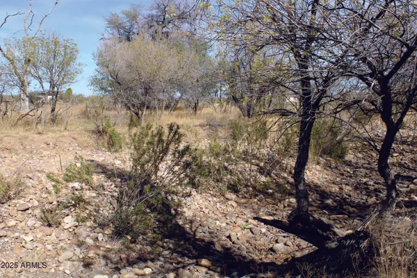 $44,900 | 10-acres East Roadrunner Road, Pearce, AZ 85625