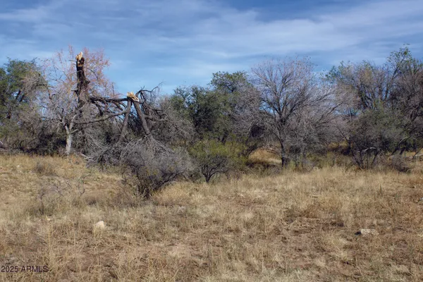 $44,900 | 10-acres East Roadrunner Road, Pearce, AZ 85625