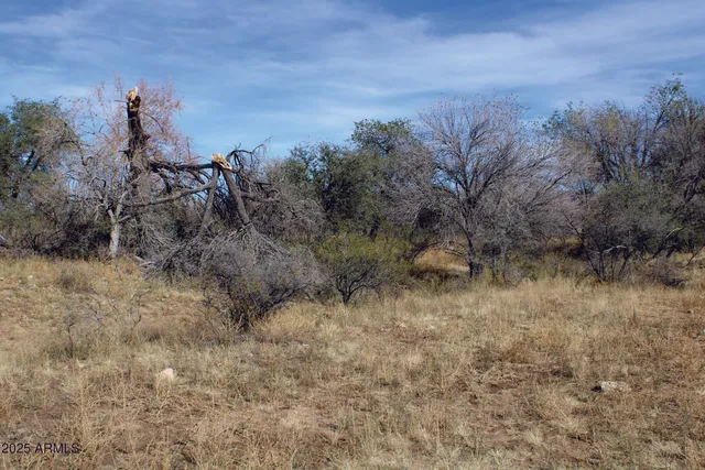 a view of a dry yard with lots of green space and house in the background