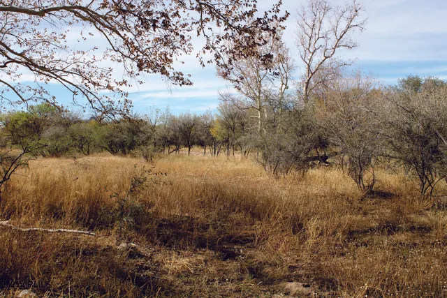 a view of lake with green space