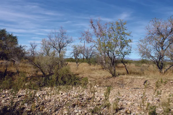 $44,900 | 10-acres East Roadrunner Road, Pearce, AZ 85625