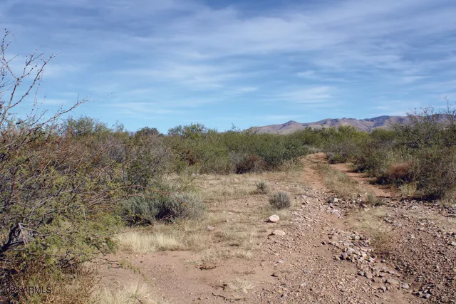 a view of a dry yard with mountains in the background