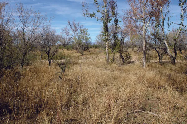 $44,900 | 10-acres East Roadrunner Road, Pearce, AZ 85625
