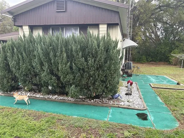 a view of a backyard with a garden and plants