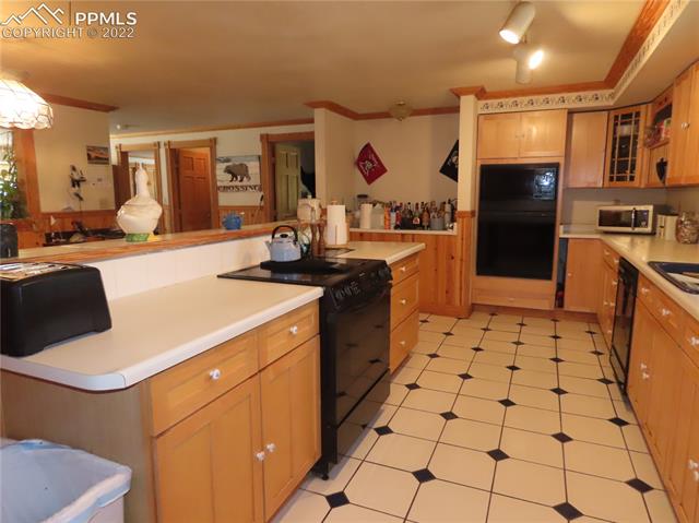 1324 Twin Rocks Road Florissant, CO 80816 - Photo 3 of 23