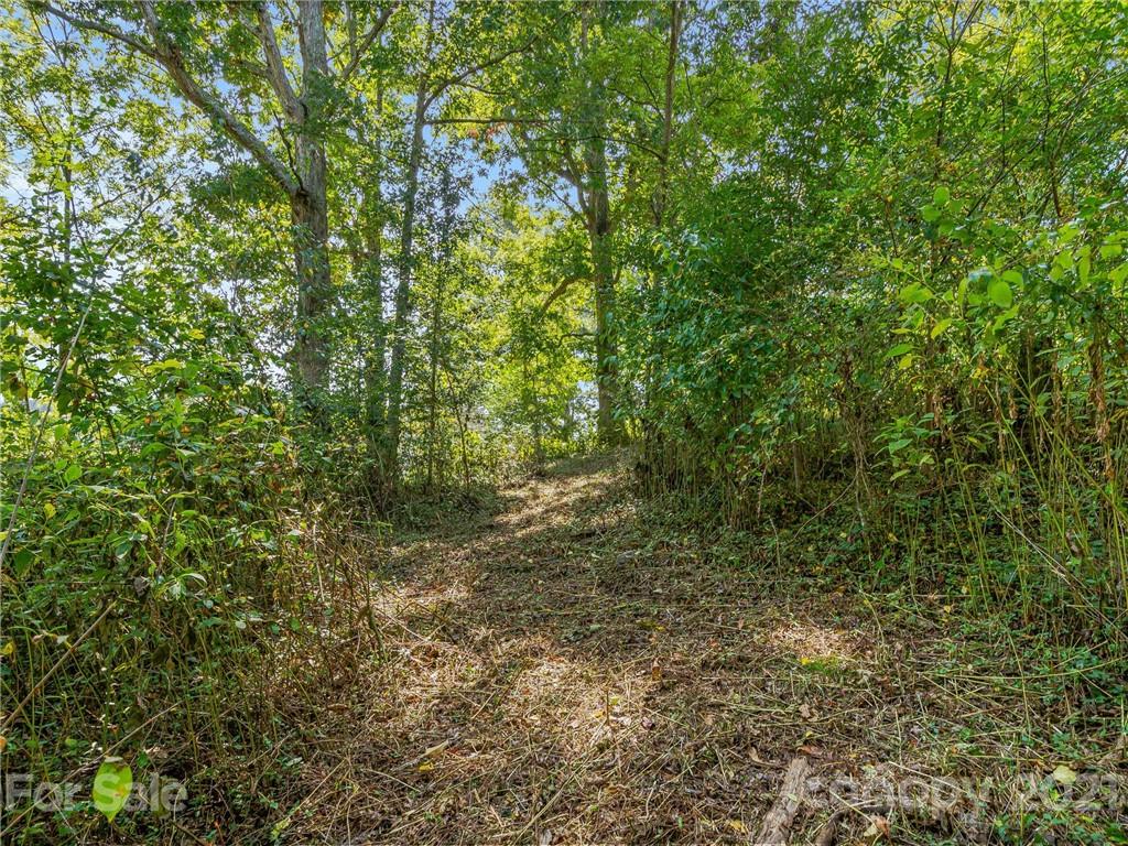 688 Fletcher Martin Road Alexander, NC 28701 - Photo 35 of 38 Gallery Image 35