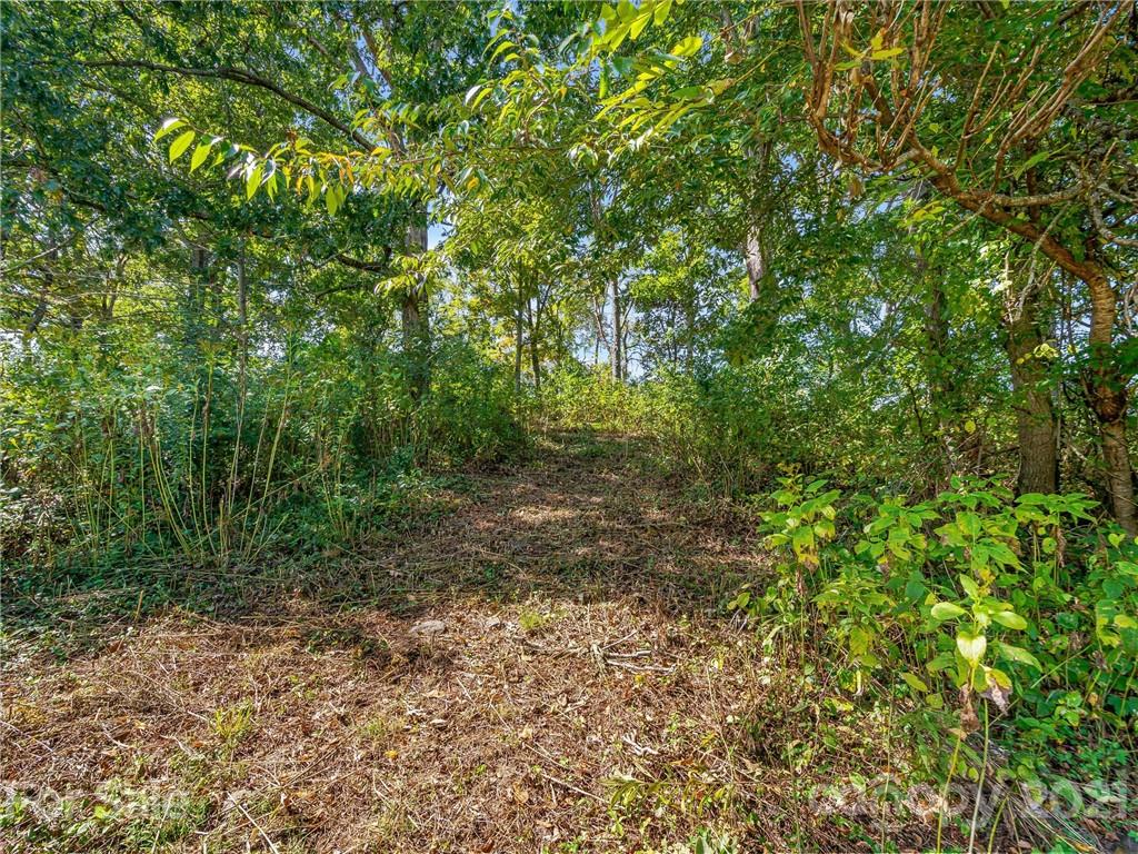 688 Fletcher Martin Road Alexander, NC 28701 - Photo 36 of 38 Gallery Image 36