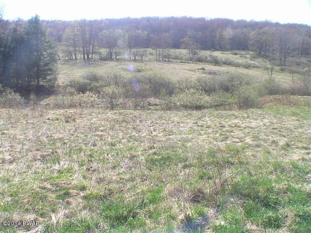 Maple Road Susquehanna, PA 18847 - Photo 1 of 9