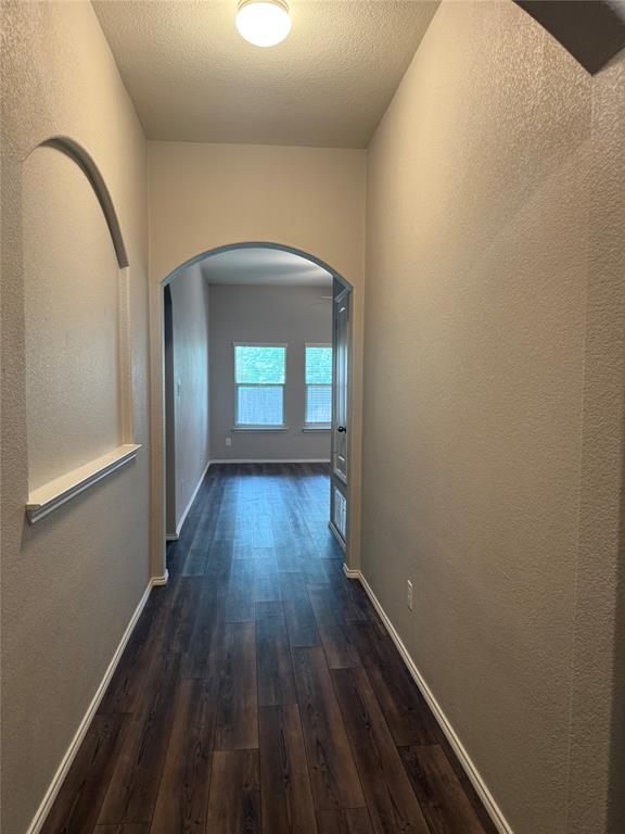 1004 Rising Moon Drive Fort Worth, TX 76052 - Photo 2 of 13 Hallway featuring wood-finish flooring and arched doorways