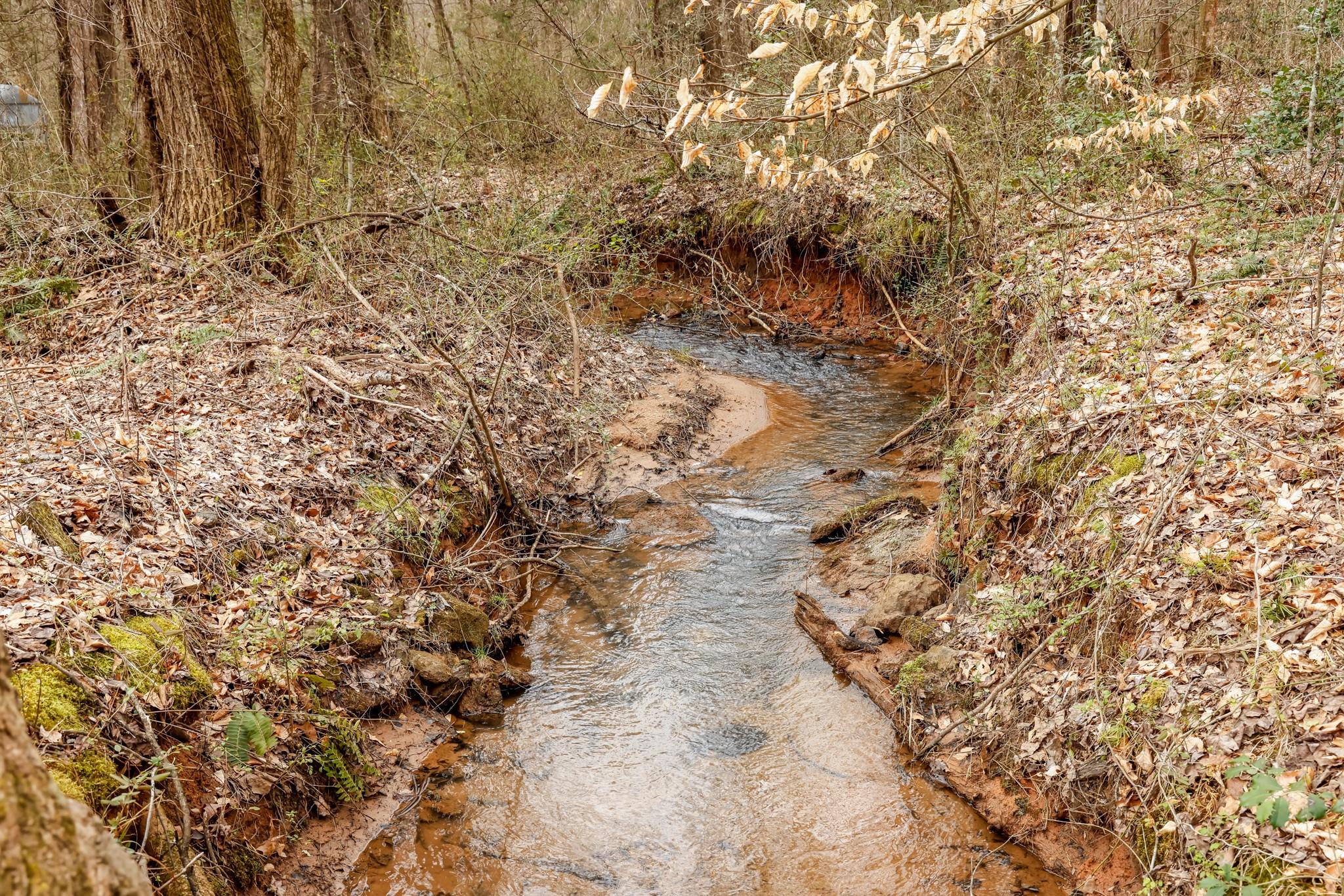2155 Highway 64 Rutherfordton, NC 28139 - Photo 8 of 15